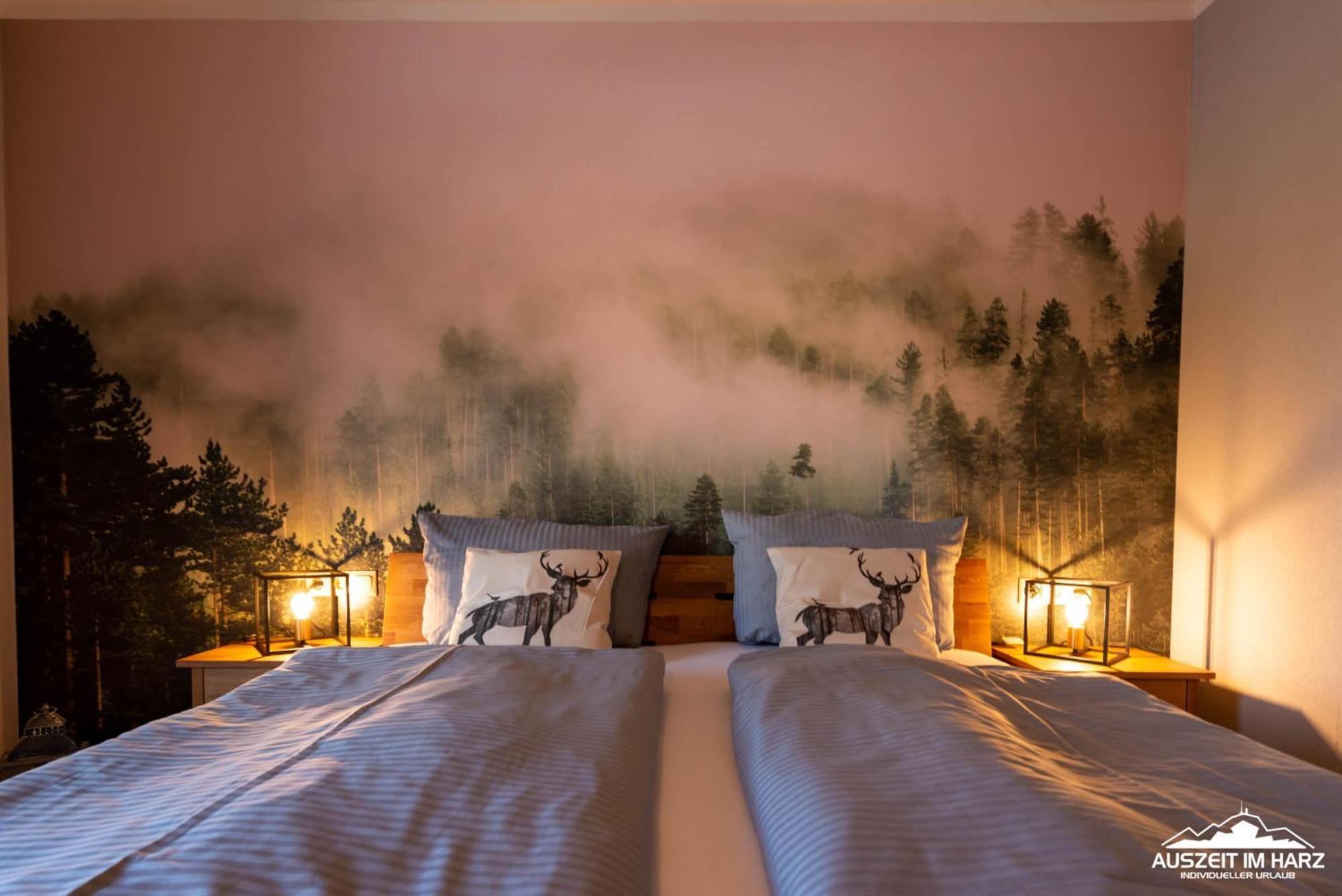 Auszeit-Im-Harz Haus 5 Wohnung 22 Stiege Exterior foto